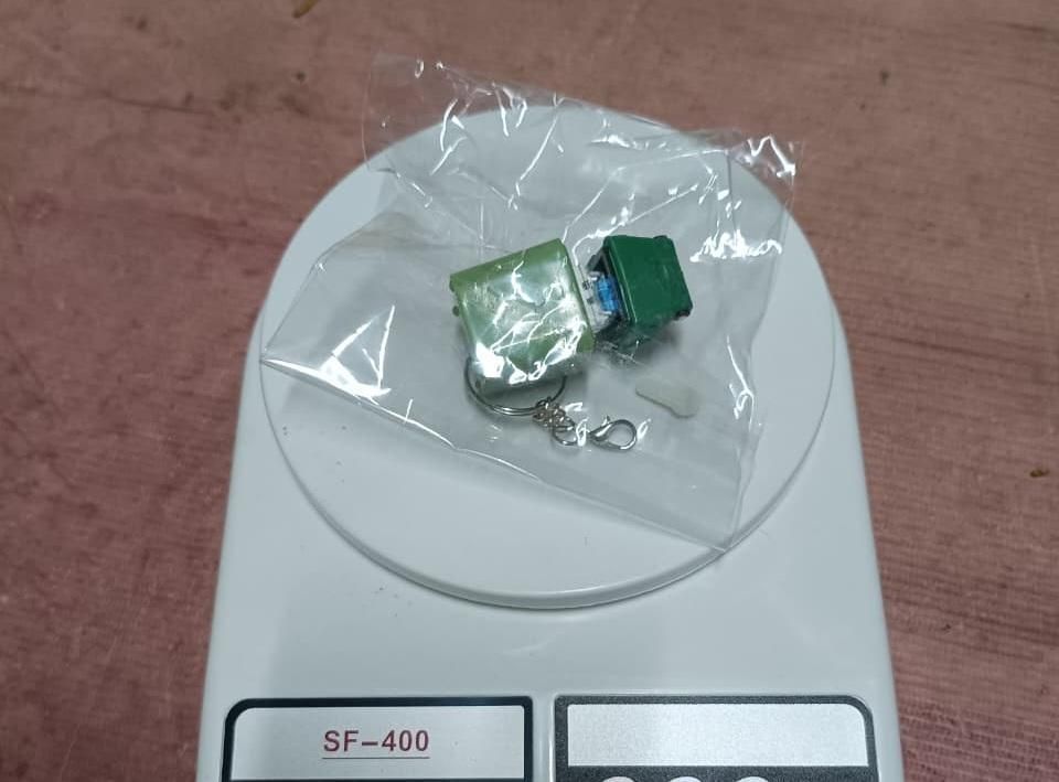 Croaking Frog Stress Reliver Keychain With Color LED Lights